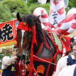 2016年ボシタ祭り青年江原会本祭写真画像