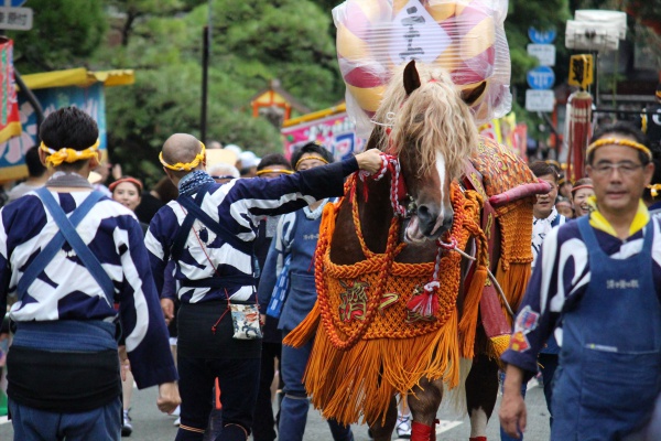 2016年ボシタ祭り済々黌飾馬奉納団絆本祭写真画像