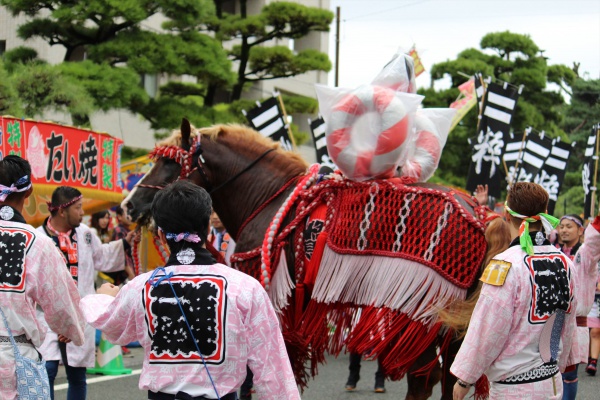 2016年ボシタ祭りこ粋連乃會本祭写真画像