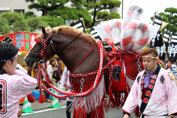 2016年ボシタ祭りこ粋連乃會本祭写真画像