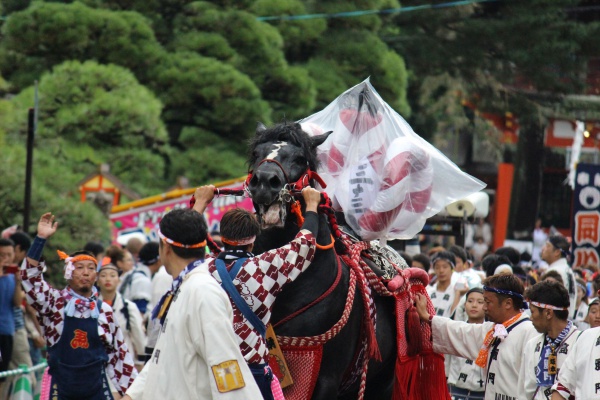 2016年ボシタ祭り高麗門本祭写真画像